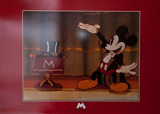 Magician20Mickey